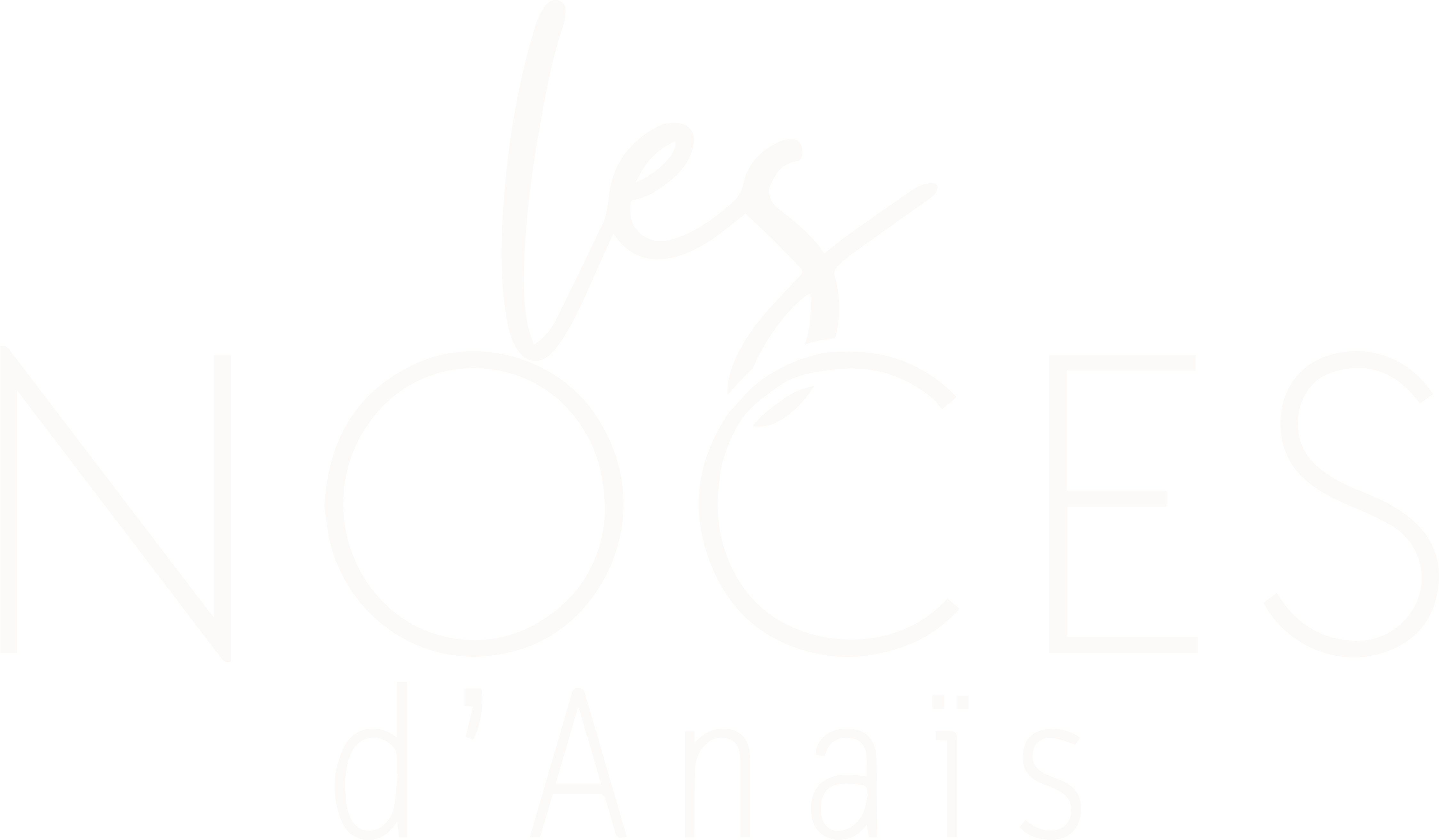 Logo principal du site Les Noces d'Anais, de couleur blanc.