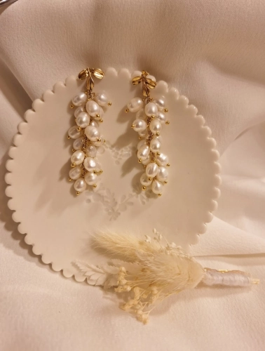 BO Gali - Graines de Beau M